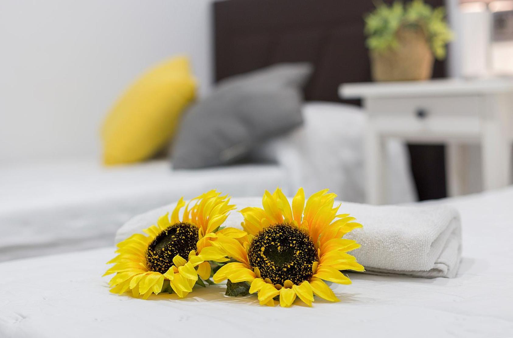 Apartments Vistas Mar Bahia Καντίζ Εξωτερικό φωτογραφία