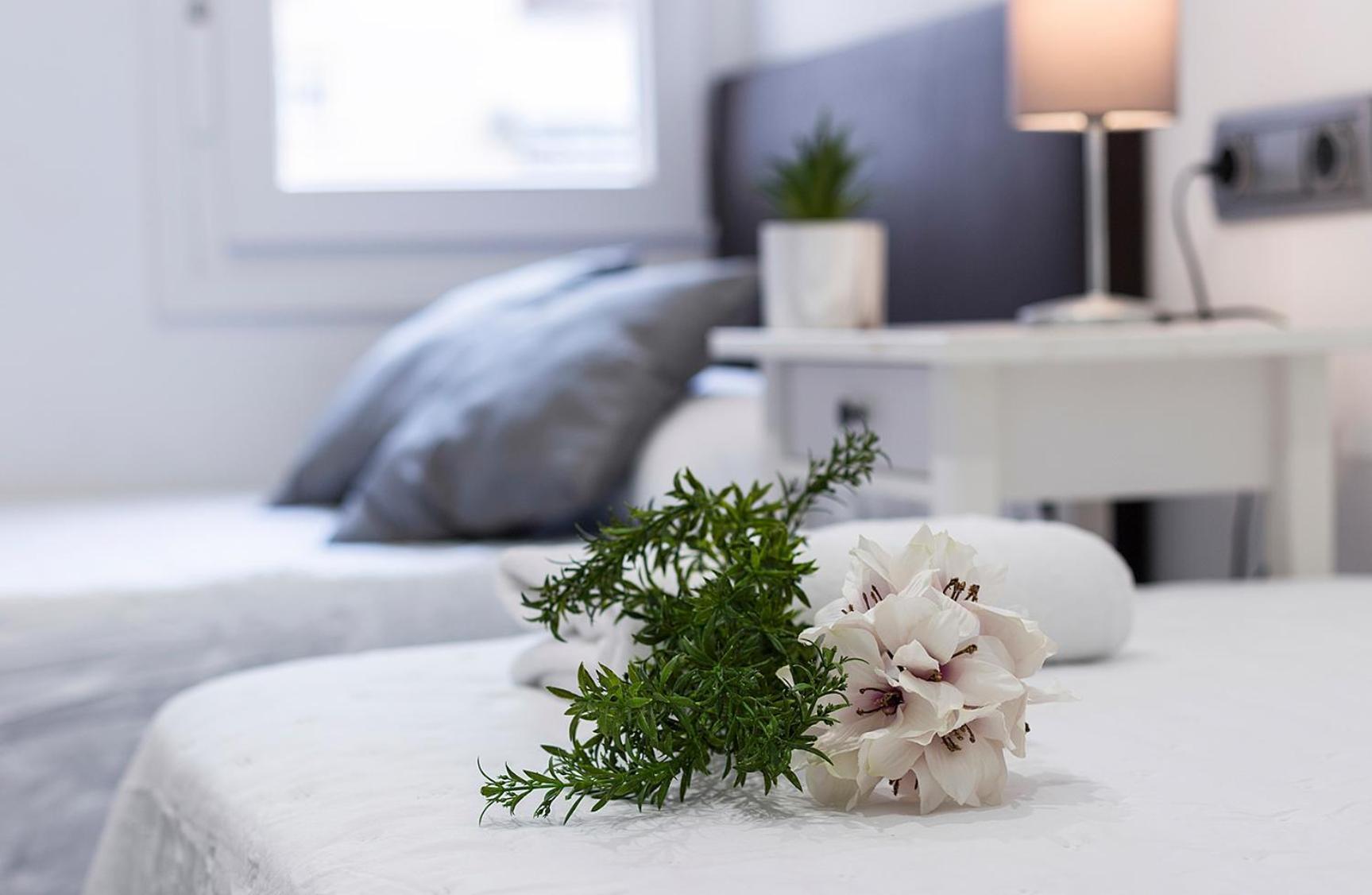 Apartments Vistas Mar Bahia Καντίζ Εξωτερικό φωτογραφία